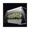 LED GROW seedling grow lamp 15W, timer, white (Z7903)