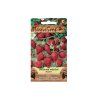 27822 seminka moravoseed jahodnik mesicni 61800