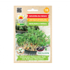 29420 smes cinska