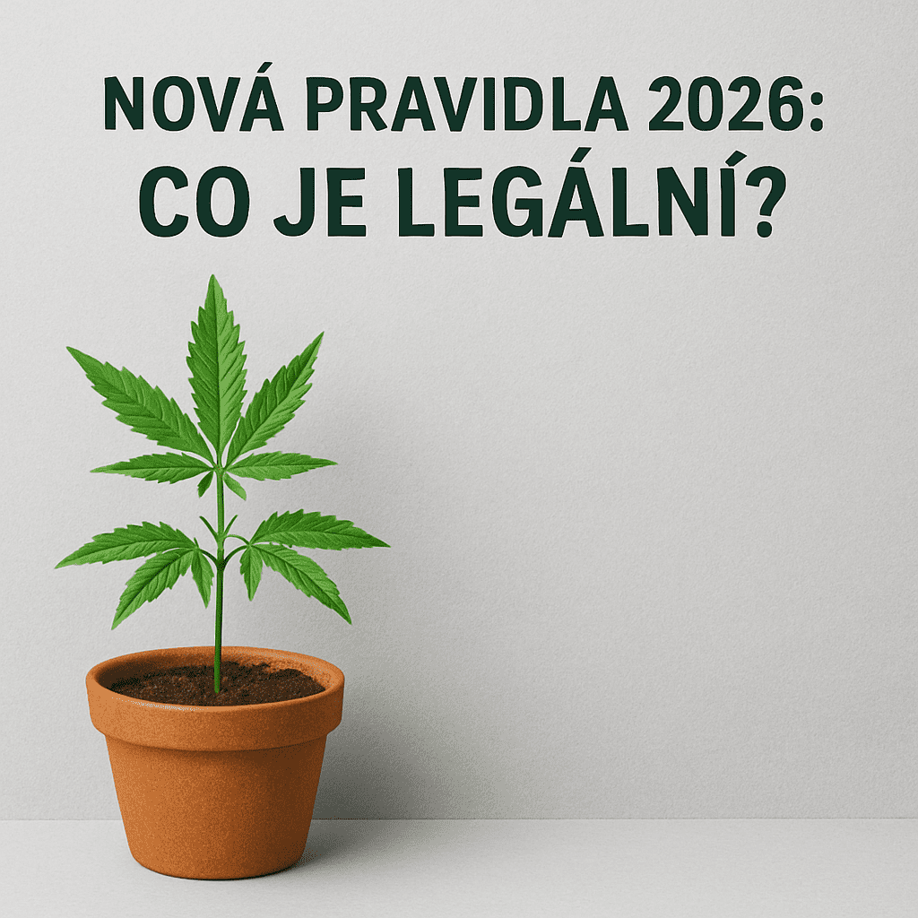 Czego nie przyniesie legalizacja: Najczęstsze mity o nowelizacji kodeksu karnego