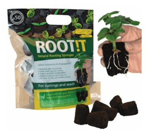 ROOT!T do pobierania i rozmnażania sadzonek