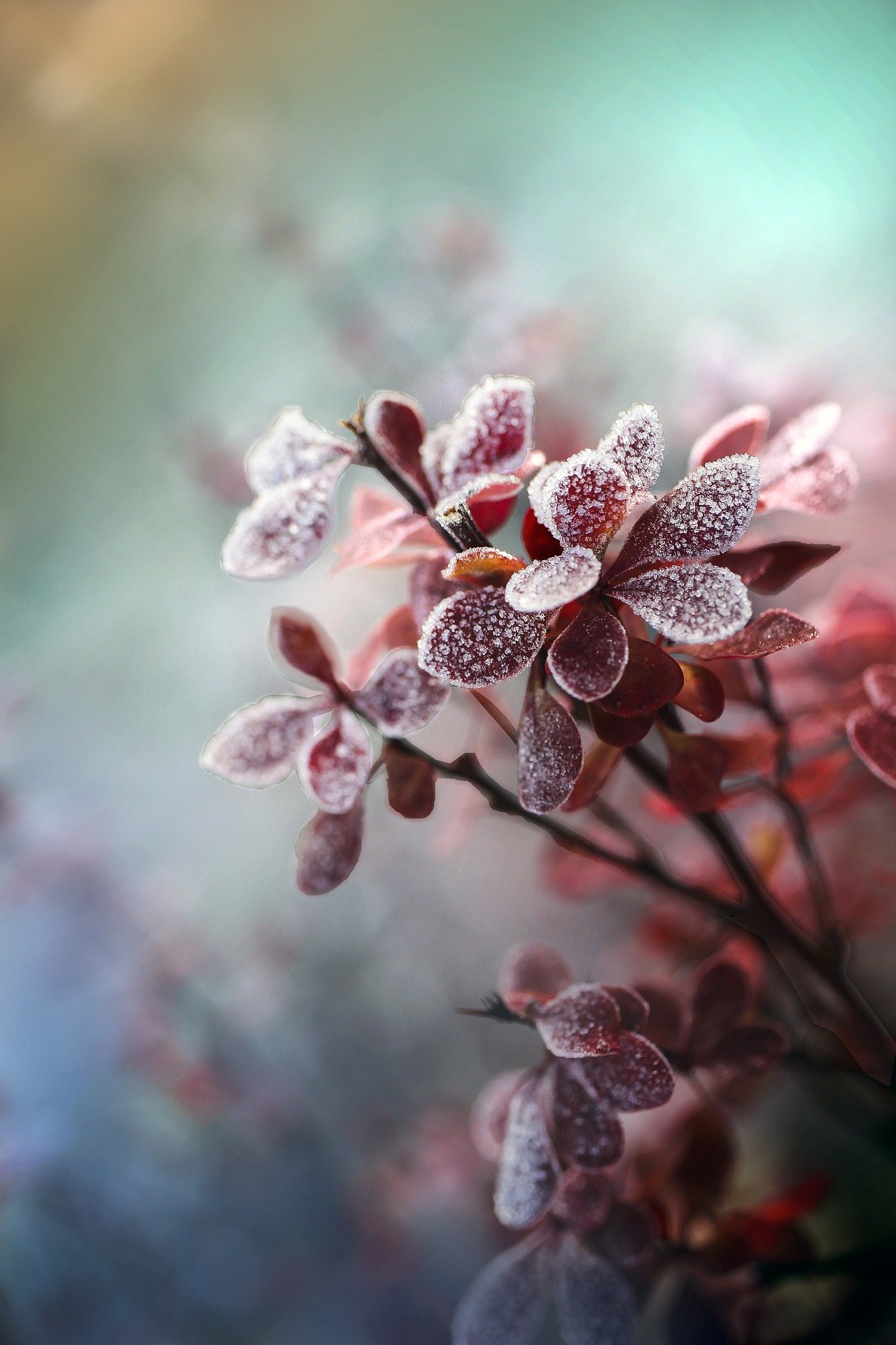 Robi się chłodniej! Zaopatrzcie się w TOP ogrzewanie nie tylko na zimę