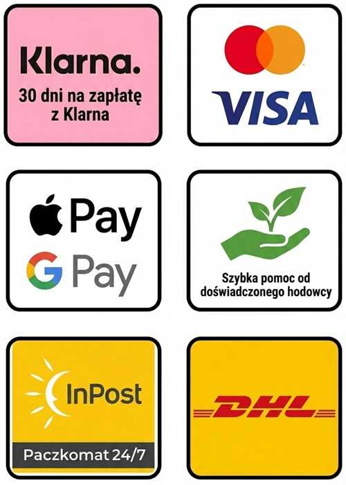 Payments