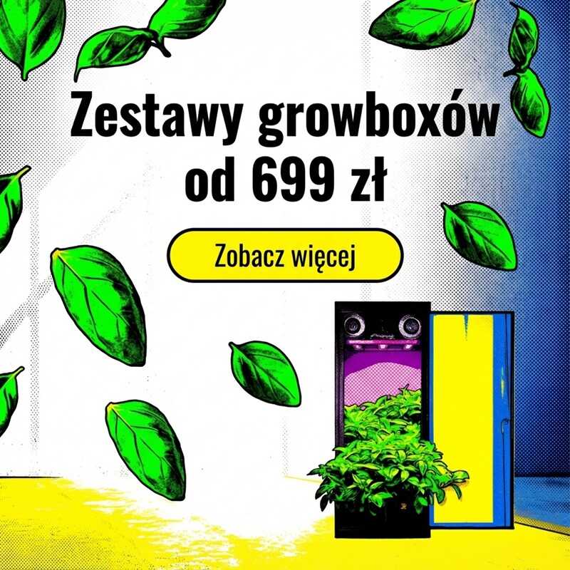 SETY