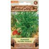 27984 1 seminka moravoseed estragon pelynek kozalec 71712