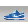 Nike Dunk Low Retro QS Argon 2022 1