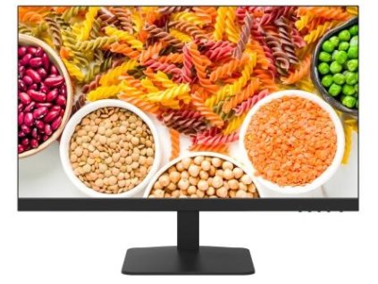 DS-D5024F2-1V2S - 23,8 " FHD Monitor