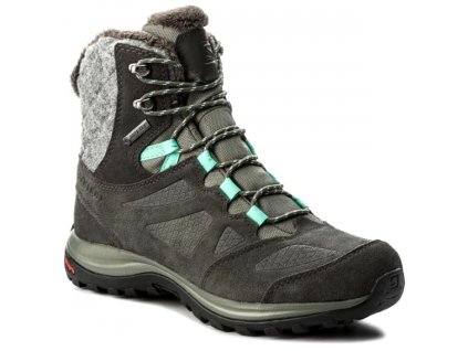 SALOMON L39855000 Ellipse Winter Gtx Castor Gray/Beluga/Biscay Green