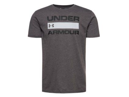 UA Team Issue Wordmark SS 1329582-021
