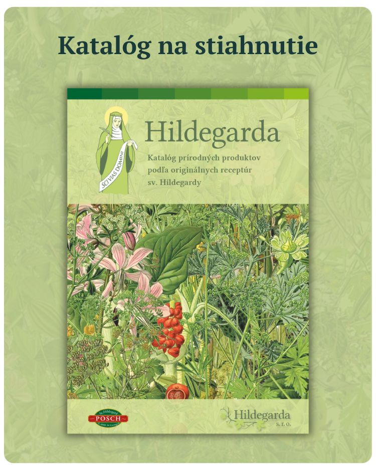Katalóg na stiahnutie