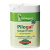 pilogal