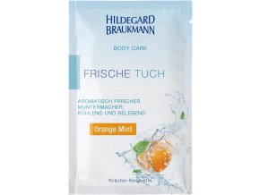 4016083005289 BODY CARE FRISCHE TUCH Orange Mint highres 7776