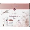 4016083190909 EXQUISIT Collagen Creme Set highres 11465