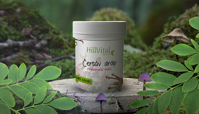 Čertův dráp: Přírodní síla v boji proti bolesti