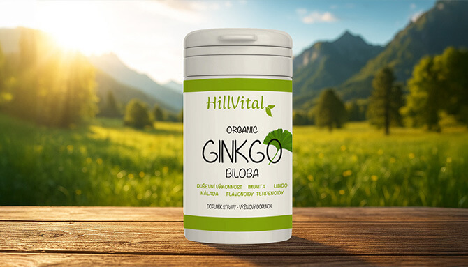 Ginkgo Biloba: Tajemství dlouhověkosti a bystré mysli