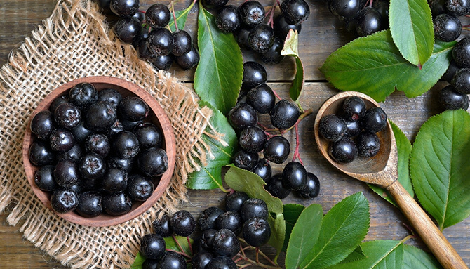 Co je Aronie a kdo by ji měl užívat?