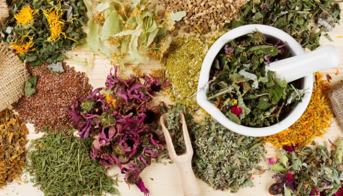 Západ a lidové léčitelství: Historie a vliv