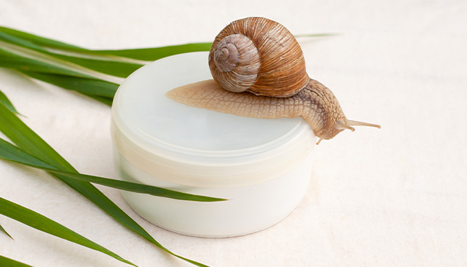 Proč je šnečí sekret tajnou zbraní pro suchou pokožku?