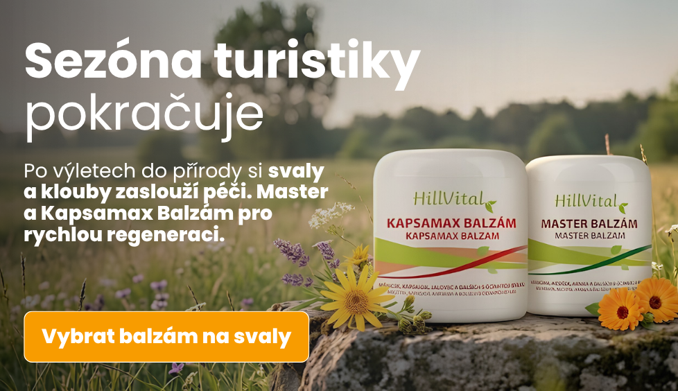 Turistika