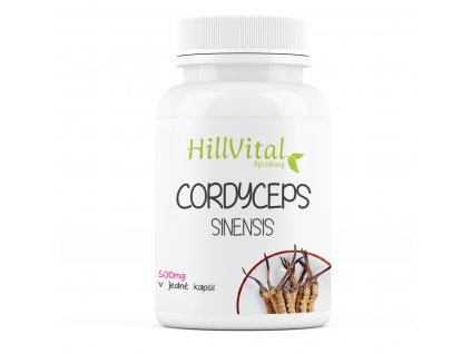 cordyceps 2024