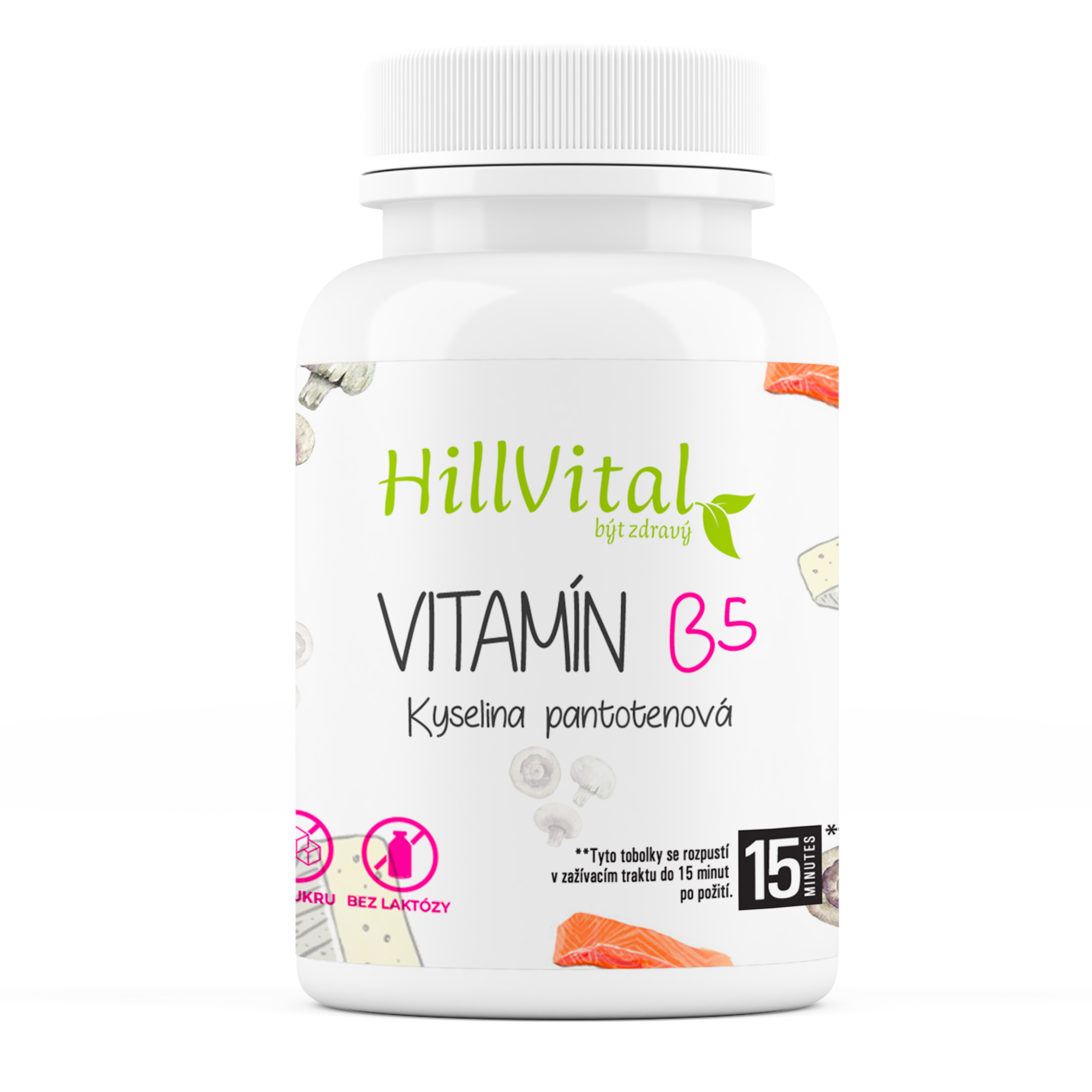 Levně HillVital Vitamín B5 100 kapslí