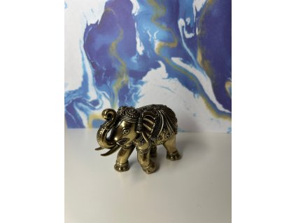 WhatsApp Image 2026 02 20 at 08.10.34