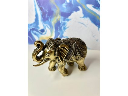 WhatsApp Image 2026 02 19 at 14.52.37