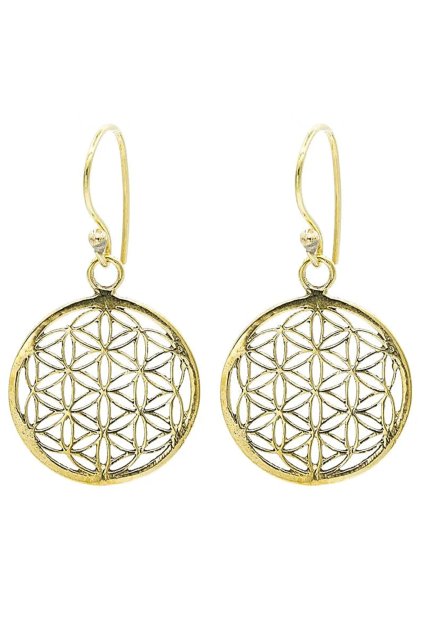 Snímek obrazovky 2024 11 26 090543