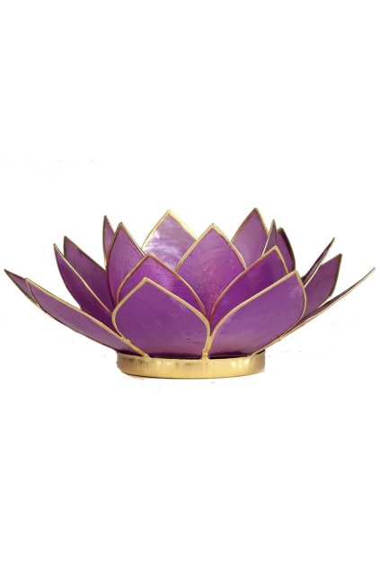 Lotosový svícen - fialová