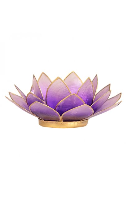 Lotosový svícen - světle fialová