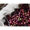 hawaii kona coffee history beans orig