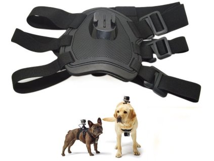 DOG FETCH HARNESS GOPRO / SJ4000 (psí postroj pro kameru)