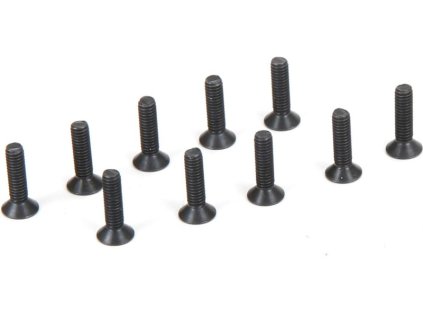 Šroub FH M2.5x10mm (10)