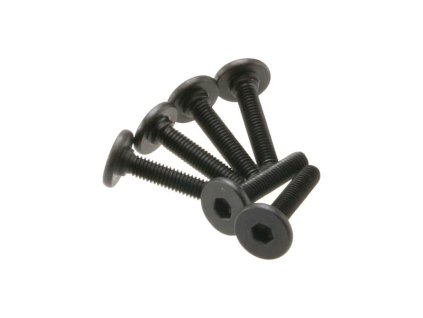 Šroub imbus plochá hlava M3x15mm (6)