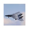 E-flite F-14 Tomcat 0.76m BNF Basic
