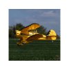 E-flite Waco 0.55m SAFE Select BNF Basic žluté