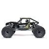 RC auto Axial Capra 1.9 4WD RTR 1:10