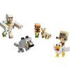 LEGO21592
