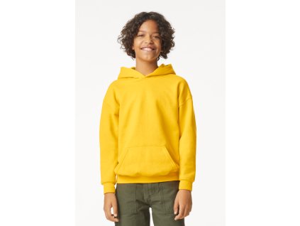 SOFTSTYLE® MIDWEIGHT FLEECE YOUTH HOODIE