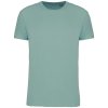 BIO150IC MEN'S ROUND NECK T-SHIRT