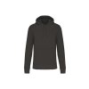 MEN'S ECO-FRIENDLY HOODED SWEATSHIRT