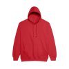 COLLEGE HOODIE