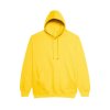 COLLEGE HOODIE