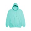 COLLEGE HOODIE