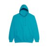 COLLEGE HOODIE