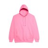COLLEGE HOODIE