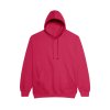 COLLEGE HOODIE