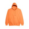 COLLEGE HOODIE
