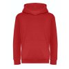 KIDS ORGANIC HOODIE