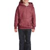 HEAVY BLEND™ YOUTH HOODED SWEATSHIRT